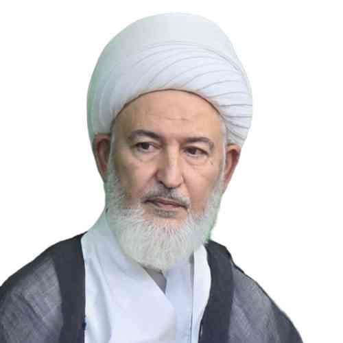 الأستاذ الشيخ فاضل الصفار