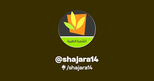 الشجرة الطيبة - الدروس الحوزوية